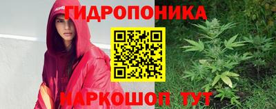 прущие крисы Канаш